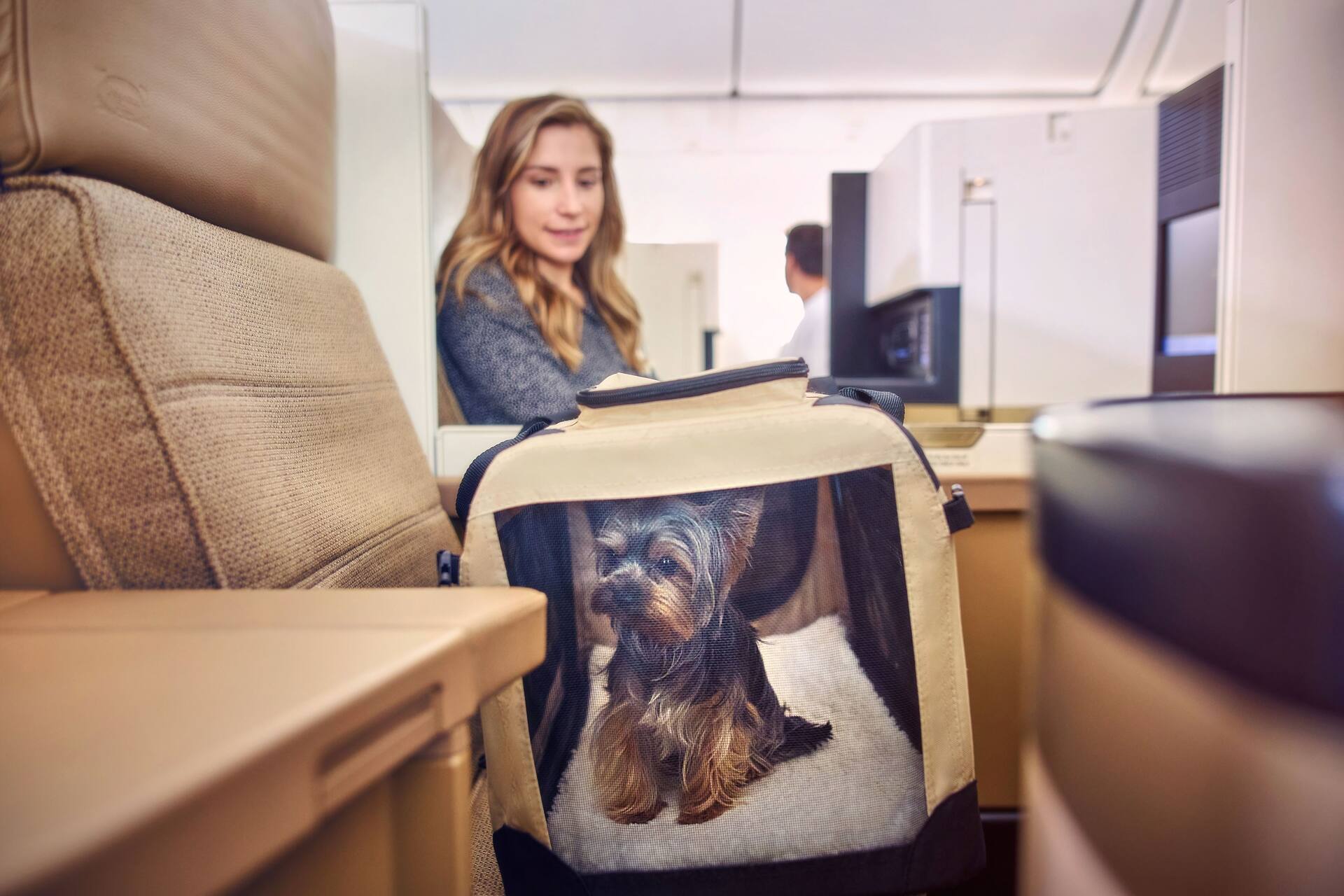 Travelling with pets