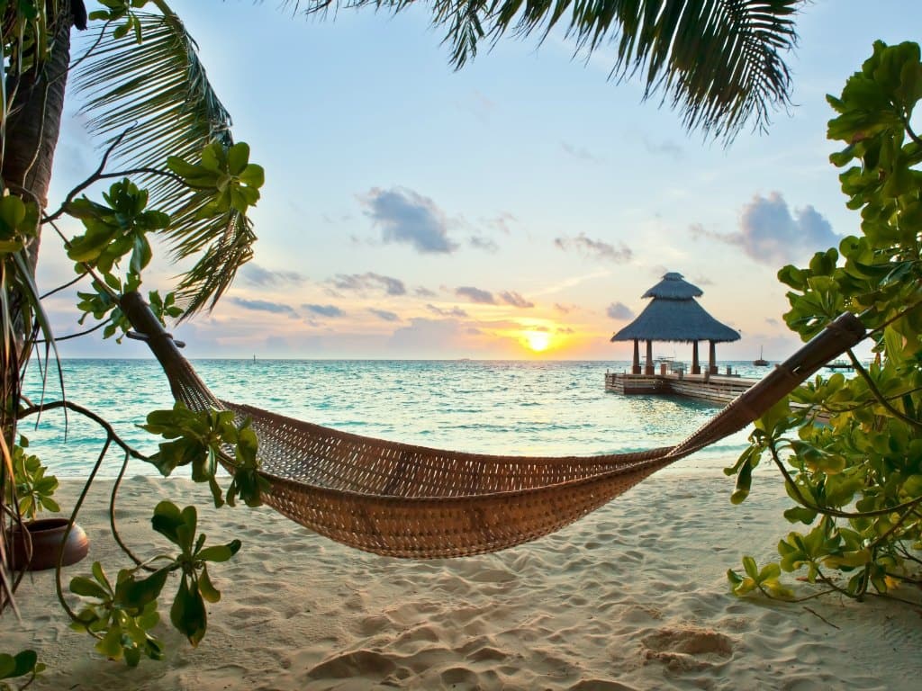 hammock in a maldives beach